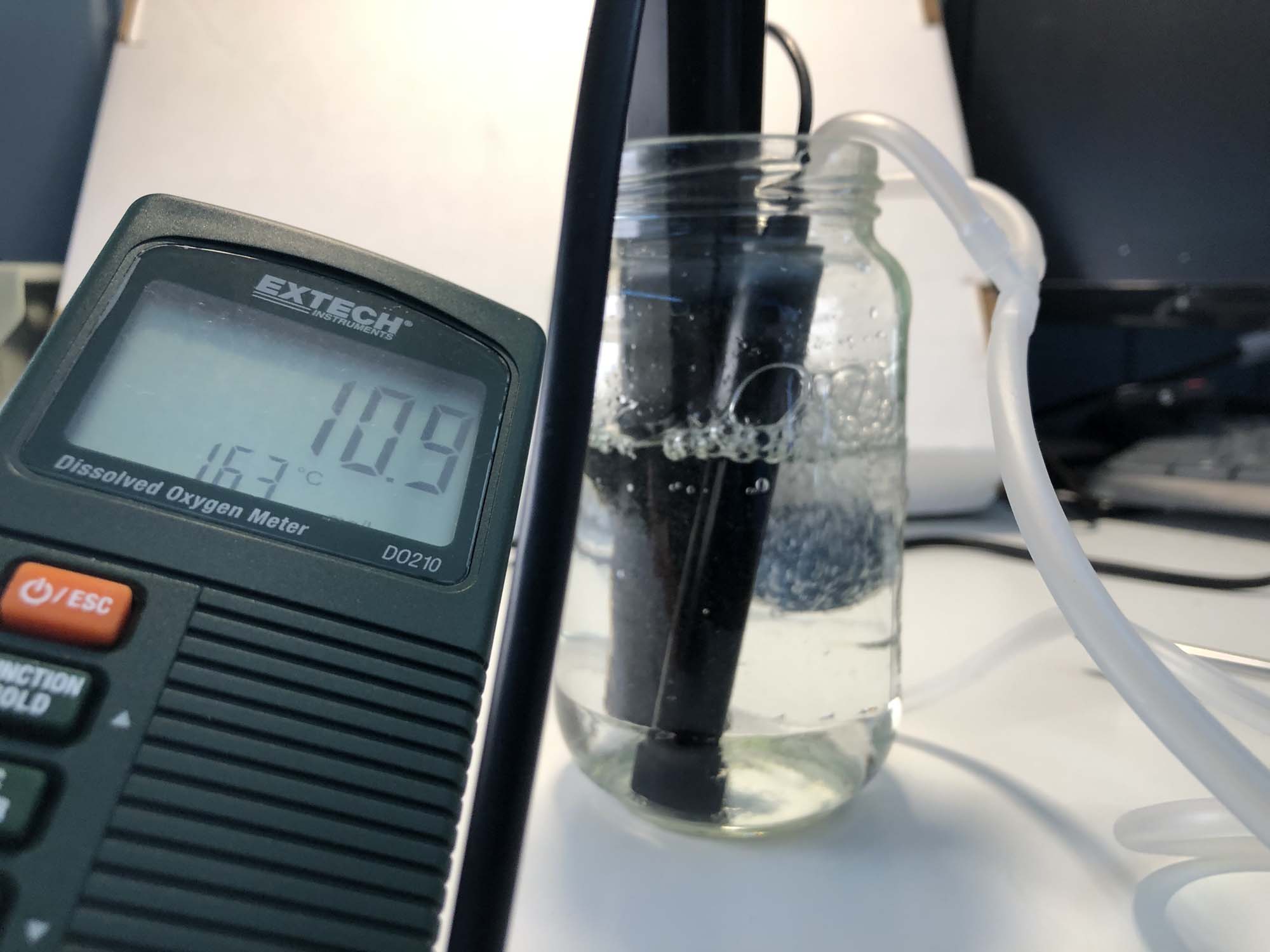 Dissolved Oxygen_Calibration